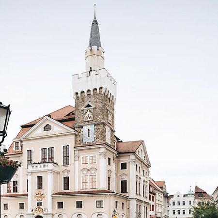 Gemuetliche Oase In Der Altstadt Löbau Extérieur photo